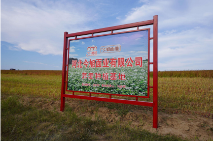 半干面,半干面厂家,鲜面厂家