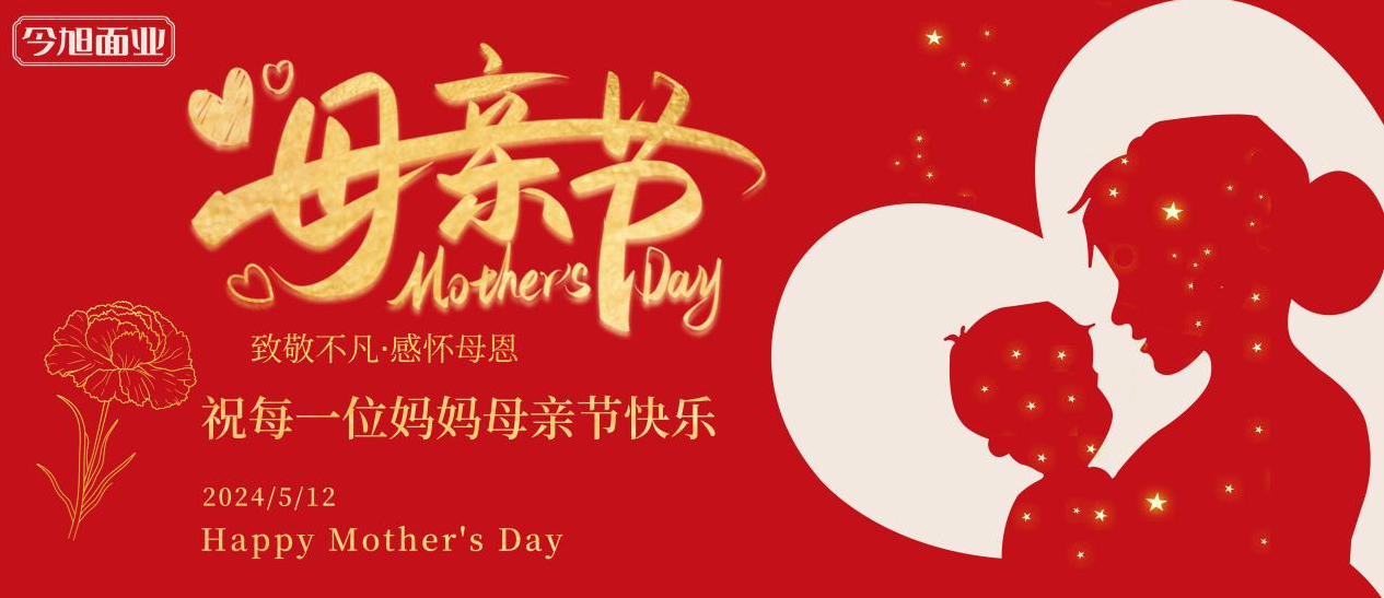 半干面,半干面厂家,鲜面厂家