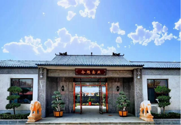 半干面,半干面厂家,鲜面厂家