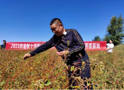 半干面,半干面厂家,鲜面厂家